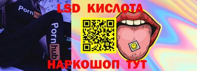 индика Лесосибирск