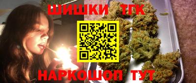 индика Лесосибирск