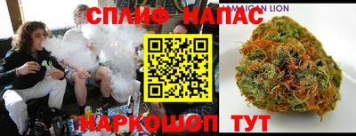 индика Лесосибирск