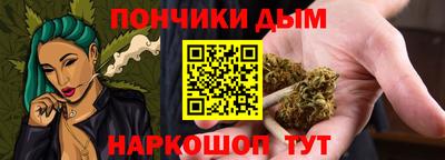 индика Лесосибирск