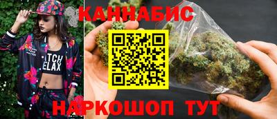 индика Лесосибирск