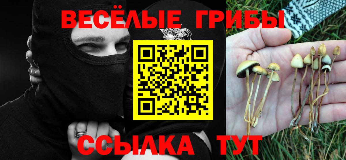 Жуковский  Псилоцибиновые грибы мицелий  Вход с VPN  закладки  Псилоцибиновые грибы GOLDEN TEACHER 